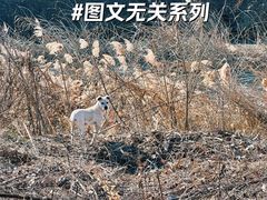 -金逸影城(中关村店)