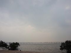 -宝安西湾红树林湿地公园