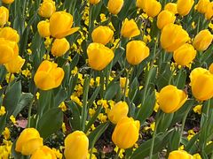 -杭州师范大学(下沙校区)