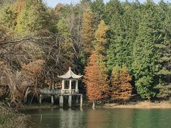 -四明山国家森林公园