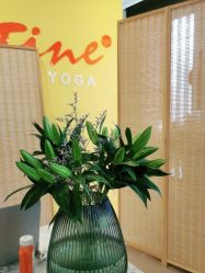 -FineYoga梵音瑜伽·普拉提