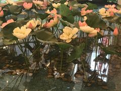 -星巴克(太原茂业天地店)