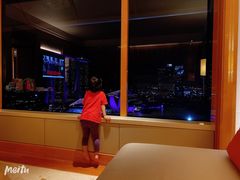 -新加坡丽思卡尔顿美年酒店
