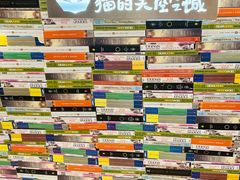 -猫的天空之城概念书店(大学路店)