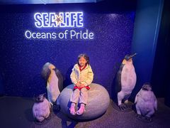-悉尼海洋生物水族馆