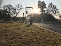 -瑶湖郊野森林公园