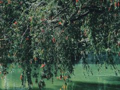 -人民公园(罗湖区)