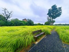 -汉长安城未央宫国家考古遗址公园