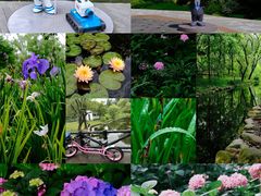 -共青国家森林公园-售票处