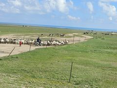 -青海湖国家重点风景名胜区