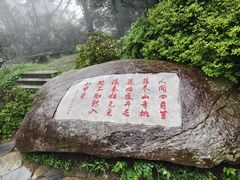 -庐山风景区花径公园