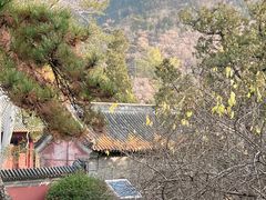 -潭柘寺景区