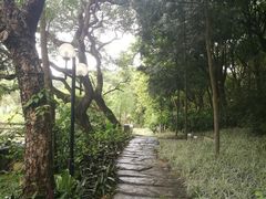 -云溪植物园