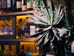 大堂-Bar Infusion(重庆·九街店)