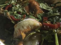 -天天海鲜城·海鲜大排档(新溪店)