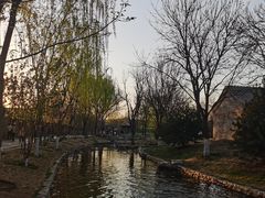 -三里河公园