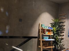 -施奈儿.洗头頭療.按摩SPA.采耳(上梅林店)