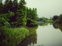 android_upload_pic-梁鸿国家湿地公园