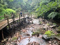 -本溪汤沟绿石谷森林公园