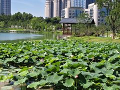 -后襄河公园