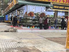 -万尾金滩