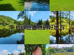 -深圳市中科院仙湖植物园