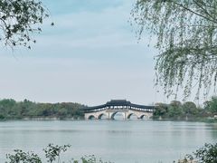 -长广溪湿地公园