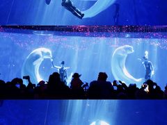 -海合安青岛极地海洋公园