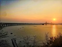 -星海湾跨海大桥