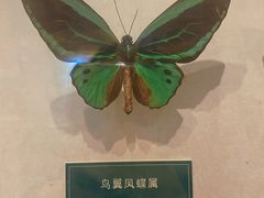 -陕西自然博物馆