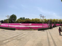 -石家庄市植物园