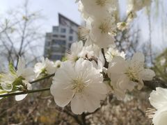 -月坛公园