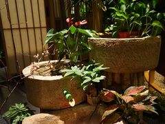 -梅间堂茶馆(绿地缤纷城店)