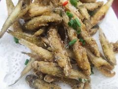 -肥弟大排档(汕樟路店)