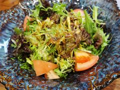 蔬菜沙拉-樱の花亭日本料理店