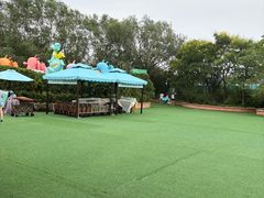 -秦皇岛乐岛海洋王国