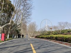 -宜兴龙背山森林公园