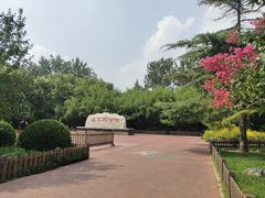 -莲花池公园