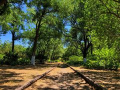 -永定河休闲森林公园