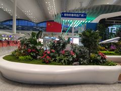-广州白云国际机场-T2航站楼