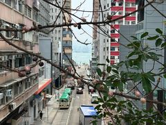 -香港大学