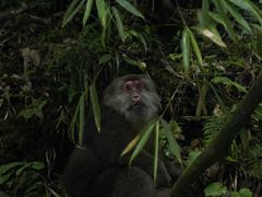 -西岭雪山大飞水景区