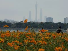-海珠湖公园