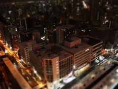 -札幌电视塔