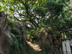 -乌山风景区