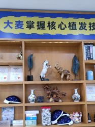 -大麦微针植发全国连锁