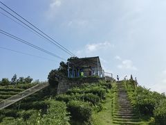 -长沙黑麋峰国家森林公园