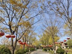 -大槐树寻根祭祖园
