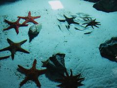 -福州罗源湾海洋世界旅游区