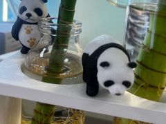 -北京眼镜城